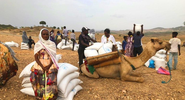 Tigré : l’ONU appelle les rebelles à adhérer au cessez-le-feu annoncé par le gouvernement fédéral éthiopien